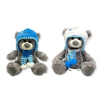 30369-15: 38CM Ice Blue Hat & Scarf Bear (2 Designs)