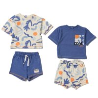 F09061TOD: Boys  2 T-Shirts & 2 Shorts Set (2-4 Years)