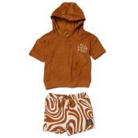 F09111TOD: Boys Terry Towelling Hooded Top & Shorts Outfit (2-4 Years)