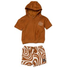 F09111INF: Baby Boys Terry Towelling Hooded Top & Shorts Outfit (12-24 Months)