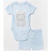 W23919: Baby Boys Hippo Ribbed Bodysuit & Short (0-12 Months, SEE DESC- Slight Fault)