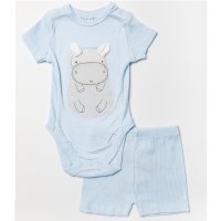 W23919: Baby Boys Hippo Ribbed Bodysuit & Short (0-12 Months, SEE DESC- Slight Fault)