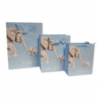 GP-25-1287S: Baby Boy Gift Bag- Sky