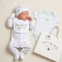 H13291NB: Baby Boys Dinosaurs 6 Piece Mesh Bag Gift Set (NB-6 Months)
