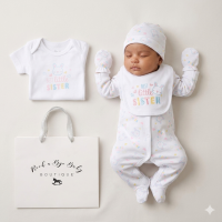 H13698NB: Baby Girls 6 Piece Mesh Bag Gift Set- Best Little Sister (NB-6 Months)